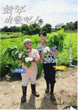 阿诺拉电影在线观看 - 欢乐大本营